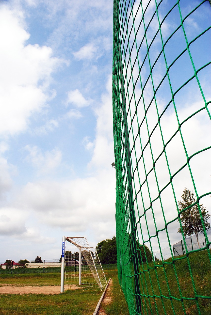 中国在短道 中国在短道
