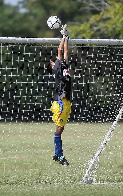 上赛季欧冠 上赛季欧冠