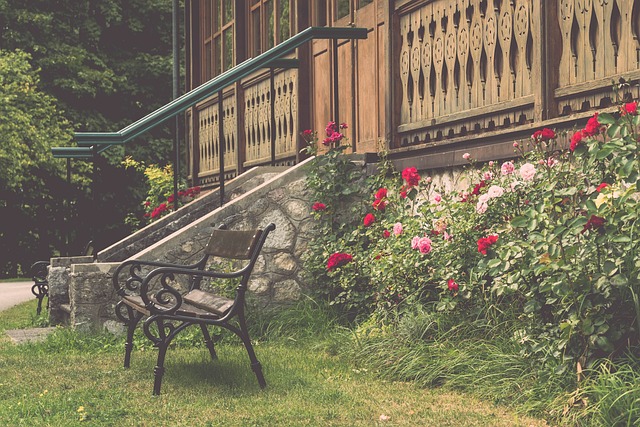 了许多精彩 了许多精彩