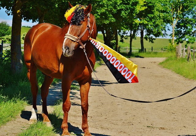 有意今夏聘请总监！记者：米兰与前尤文总监帕拉蒂奇展开对话.