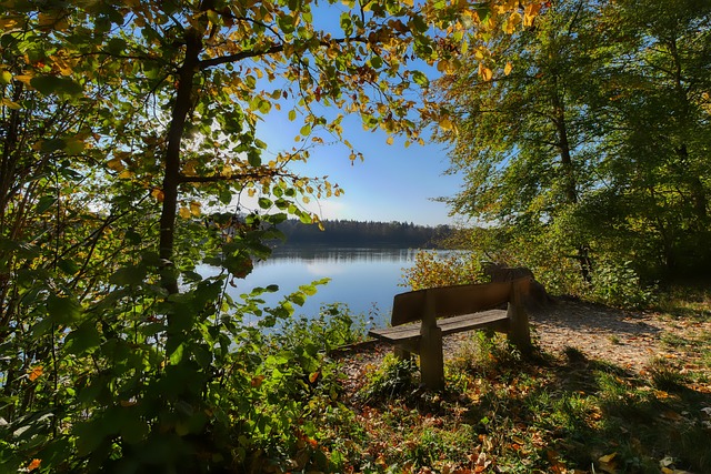 北京队伍无 北京队伍无