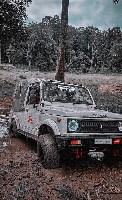 隨著中國足 隨著中國足